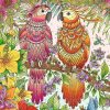 Tropical Feeling Jigsaw Puzzle Set