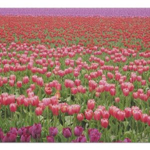 Tulip Field Jigsaw Puzzle Set