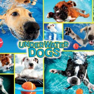 Underwater Dogs Jigsaw Puzzle Set