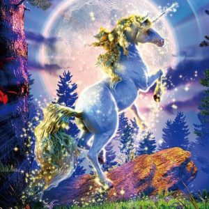 Unicorn Moon Jigsaw Puzzle Set