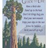 Vintage A Giant Sequoias Guide To Life Jigsaw Puzzle Set