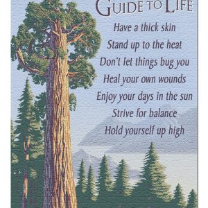 Vintage A Giant Sequoias Guide To Life Jigsaw Puzzle Set