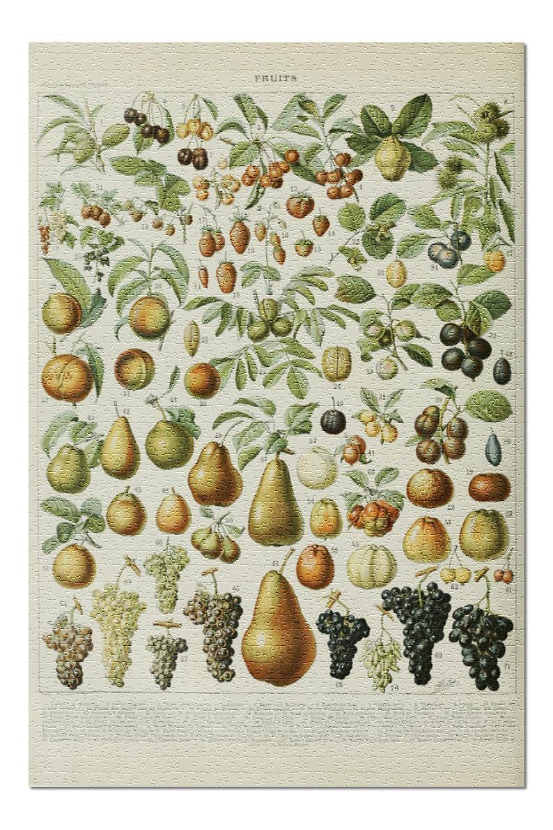 Vintage Bookplate Assorted Fruits Jigsaw Puzzle Set Vintage Bookplate Assorted Fruits Jigsaw Puzzle Set