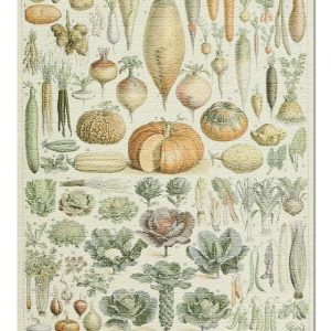 Vintage Vegetables Jigsaw Puzzle Set