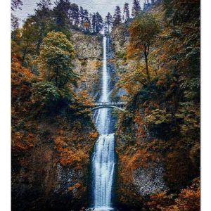 Waterfall, Fall Tree Jigsaw Puzzle Set