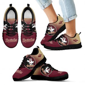 Special Unofficial Florida State Seminoles Sneakers